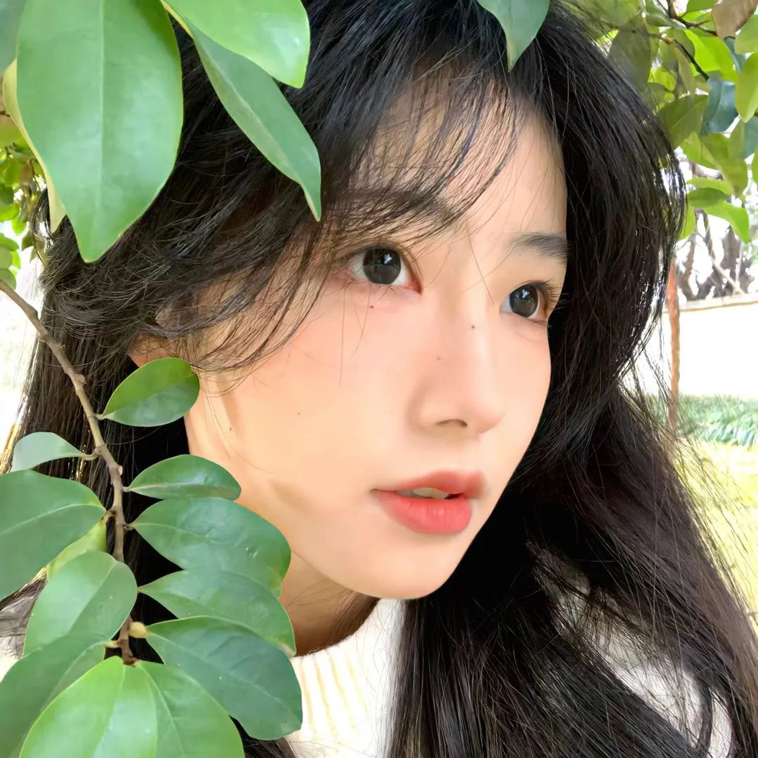 金锁记封面